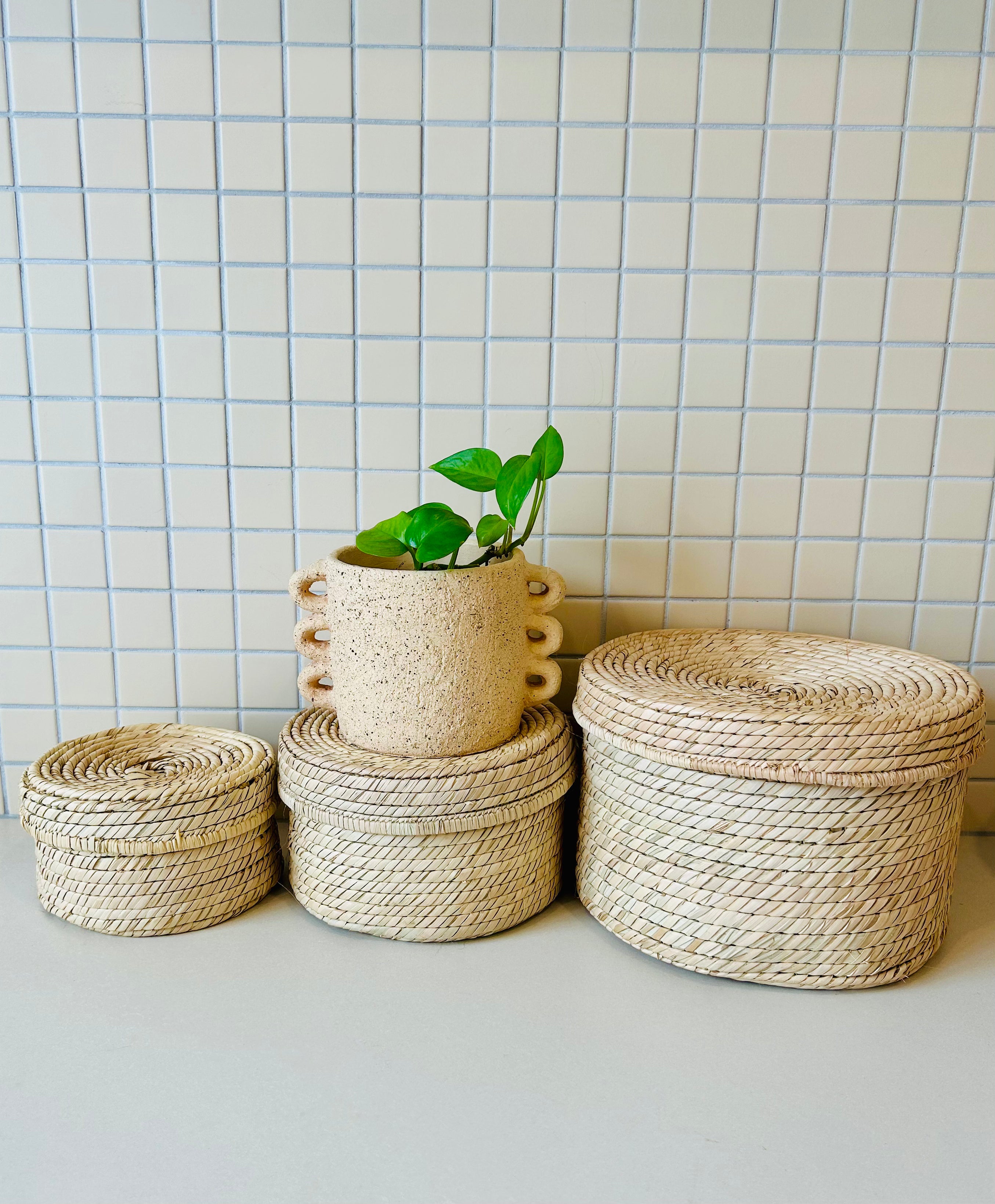 Tiffin Baskets with Lids - Set of 3
