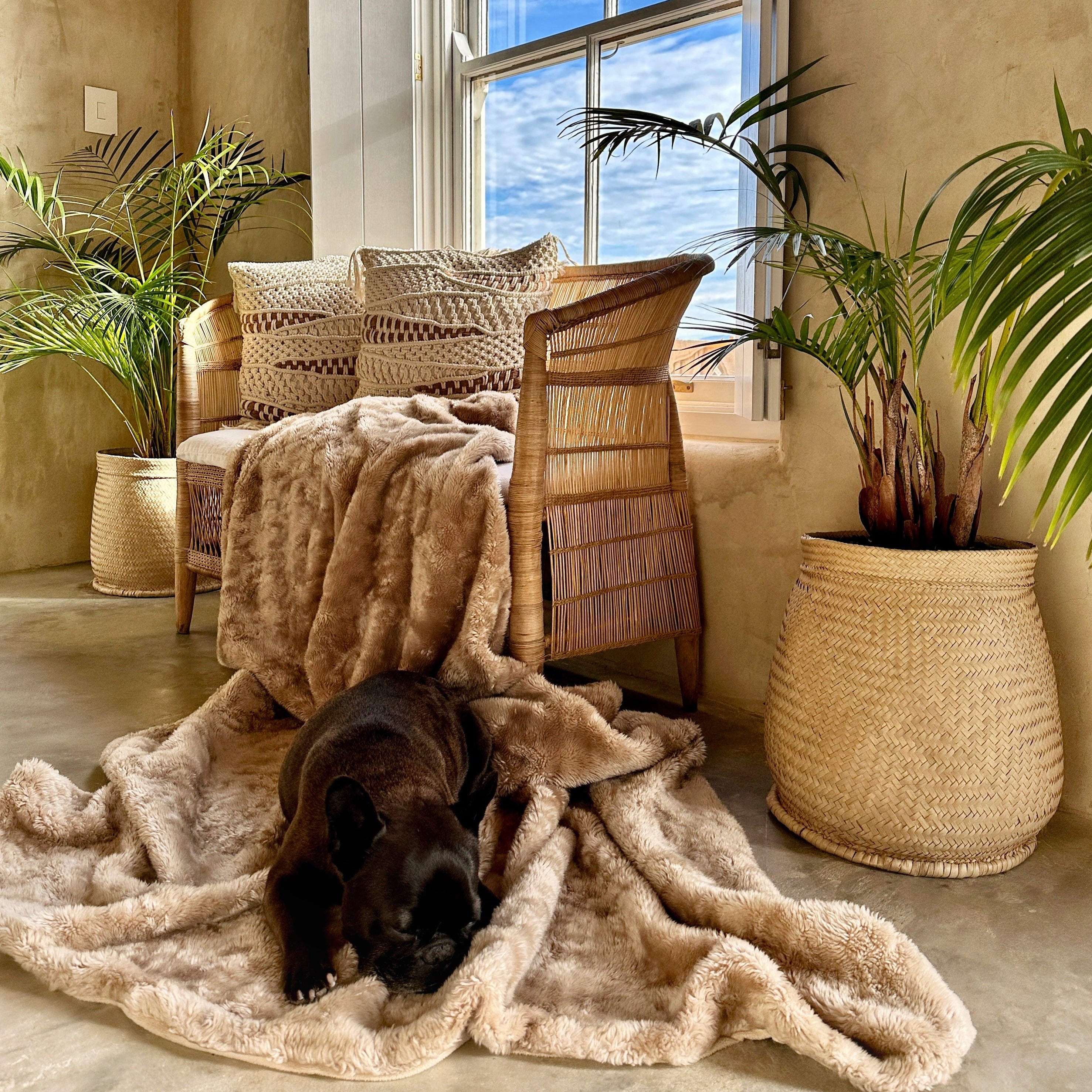 Traditional 2-seater Malawi Cane Lounge Chair