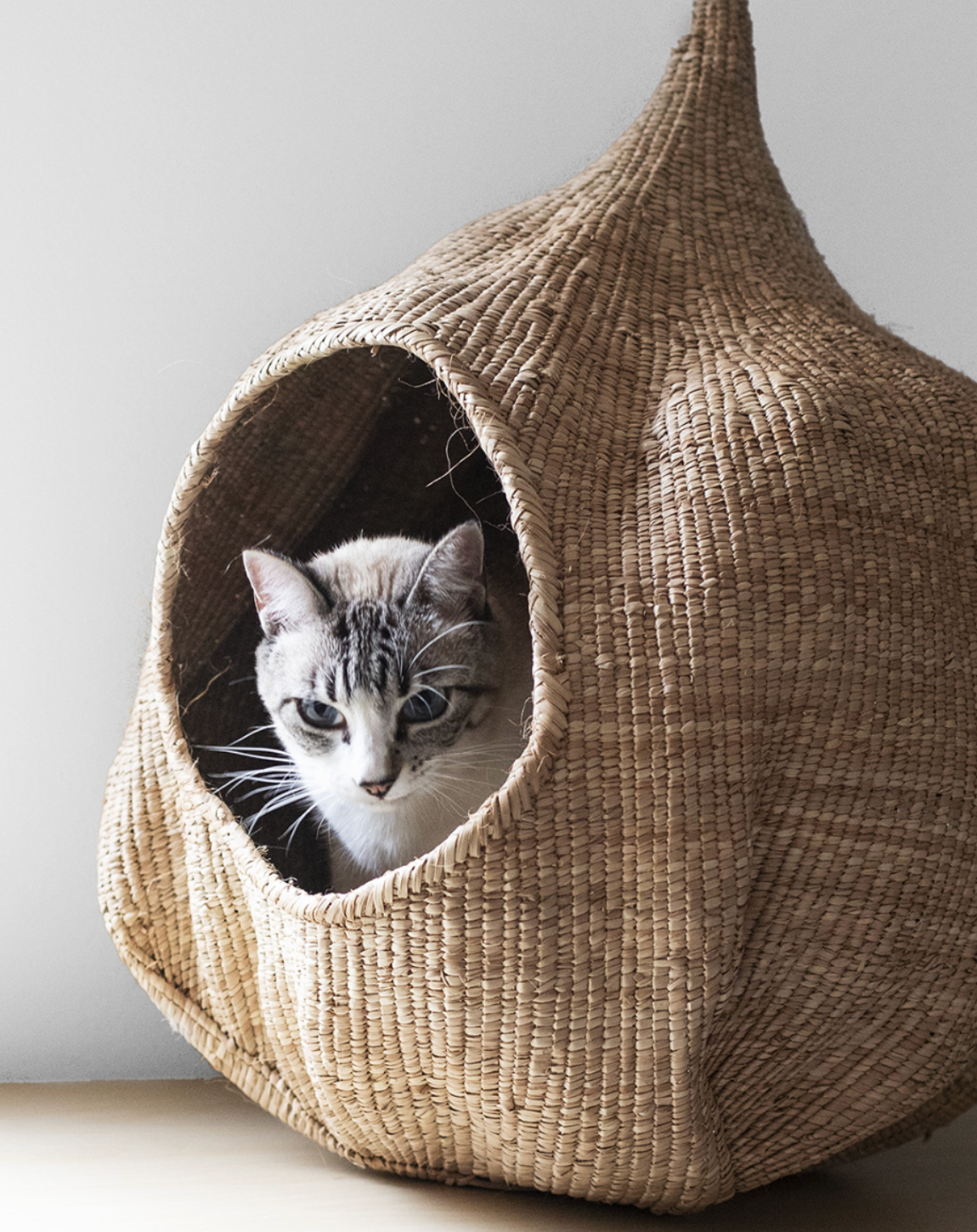 Decorative Storage Nest Gourd