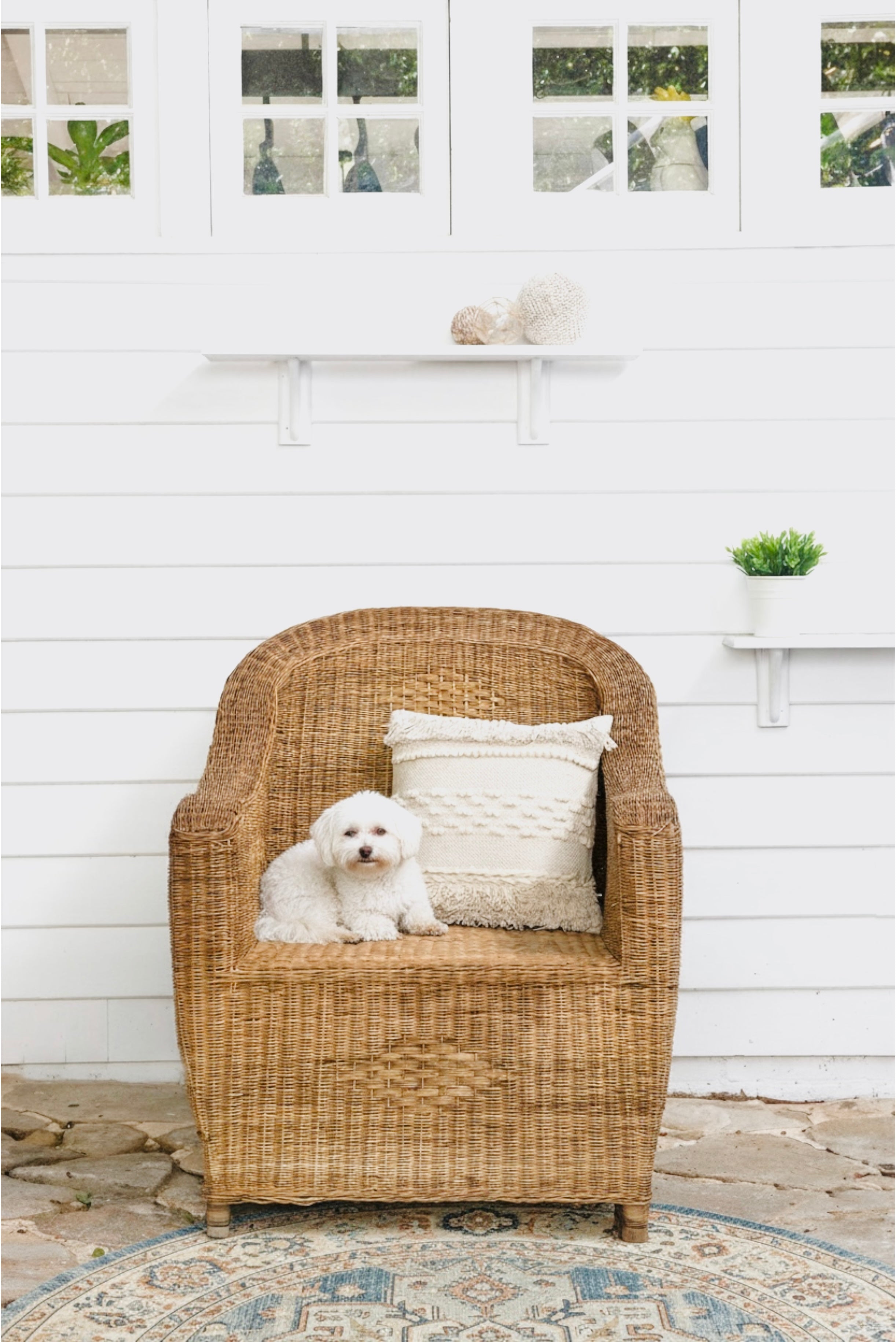 Premium 1-seater Woven Cane Chair
