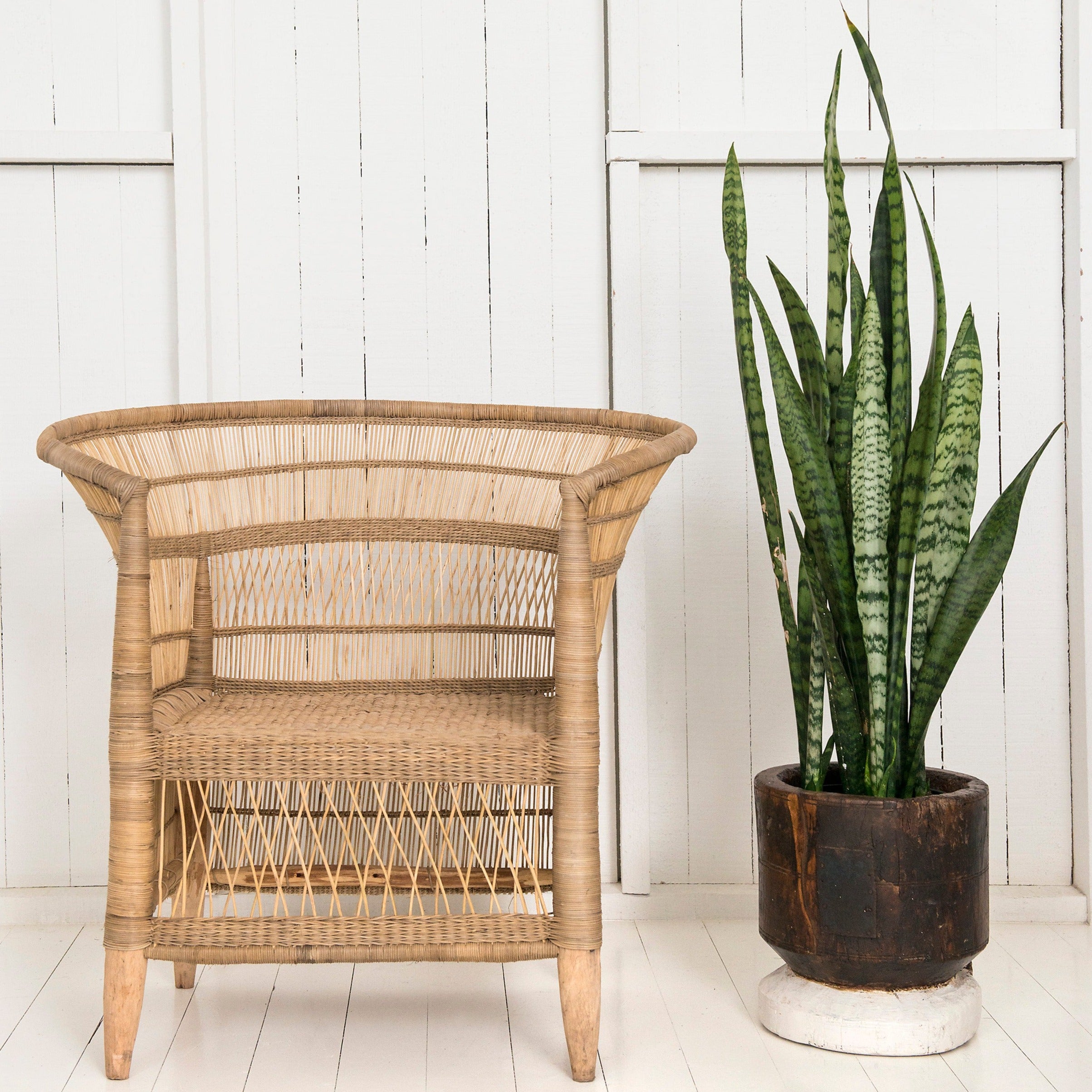 cane malawi chair with a potplant