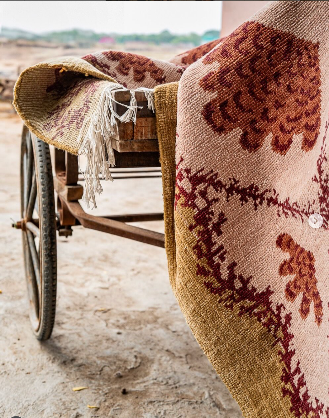 Coral Fields Rug | Shellegance x Coral + Hive