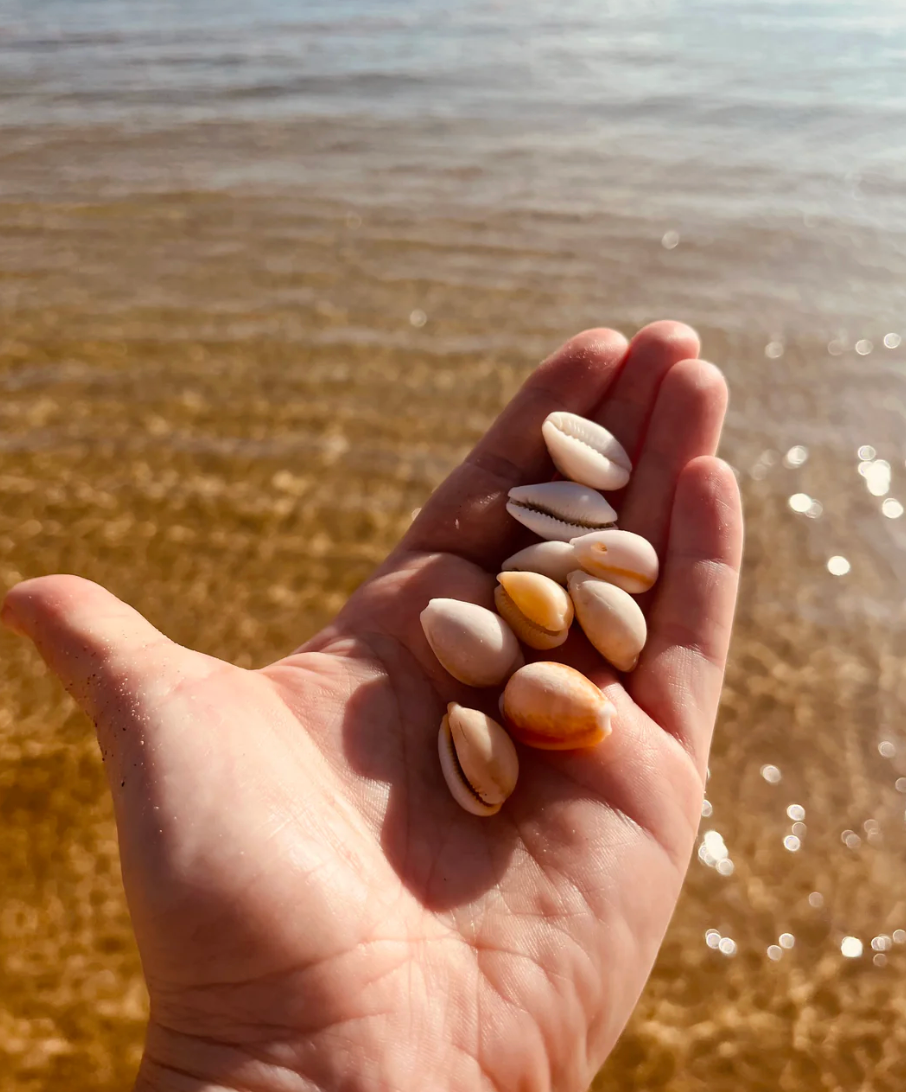 Cowrie Ring | Lamu Collection | Brass Ocean Inspired Jewellery