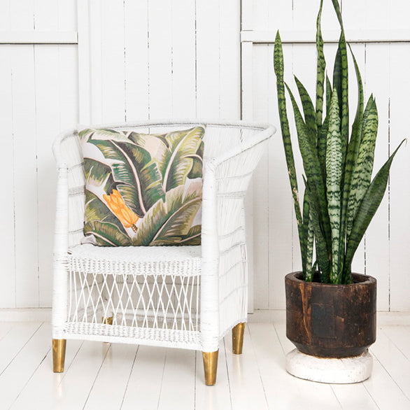 traditional 1 seater white - with brass feet